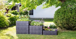 Ergo Vario 2 Raised bed Wood