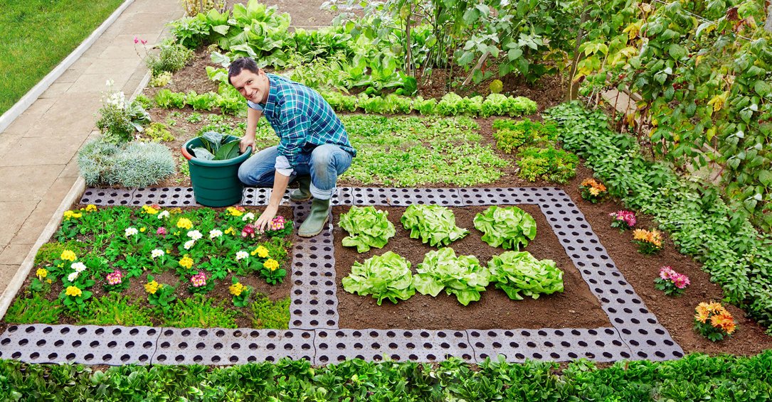 MaXi Gartenplatten / Beetplatten