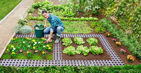 estómago popurrí calcetines Productos para el jardín de GARANTIA | GARANTIA