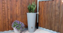 Réservoir Linus 2en1 - Gris zinc