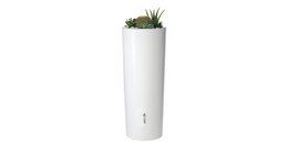Color 2in1 water tank coco
