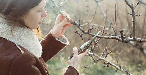 Frau schneidet Äste
