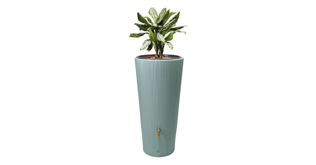 Vaso 2in1 Decor Pflanzschale 220L agave bepflanzt