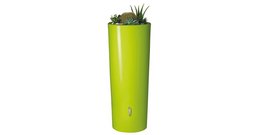 Color 2in1 water tank apple